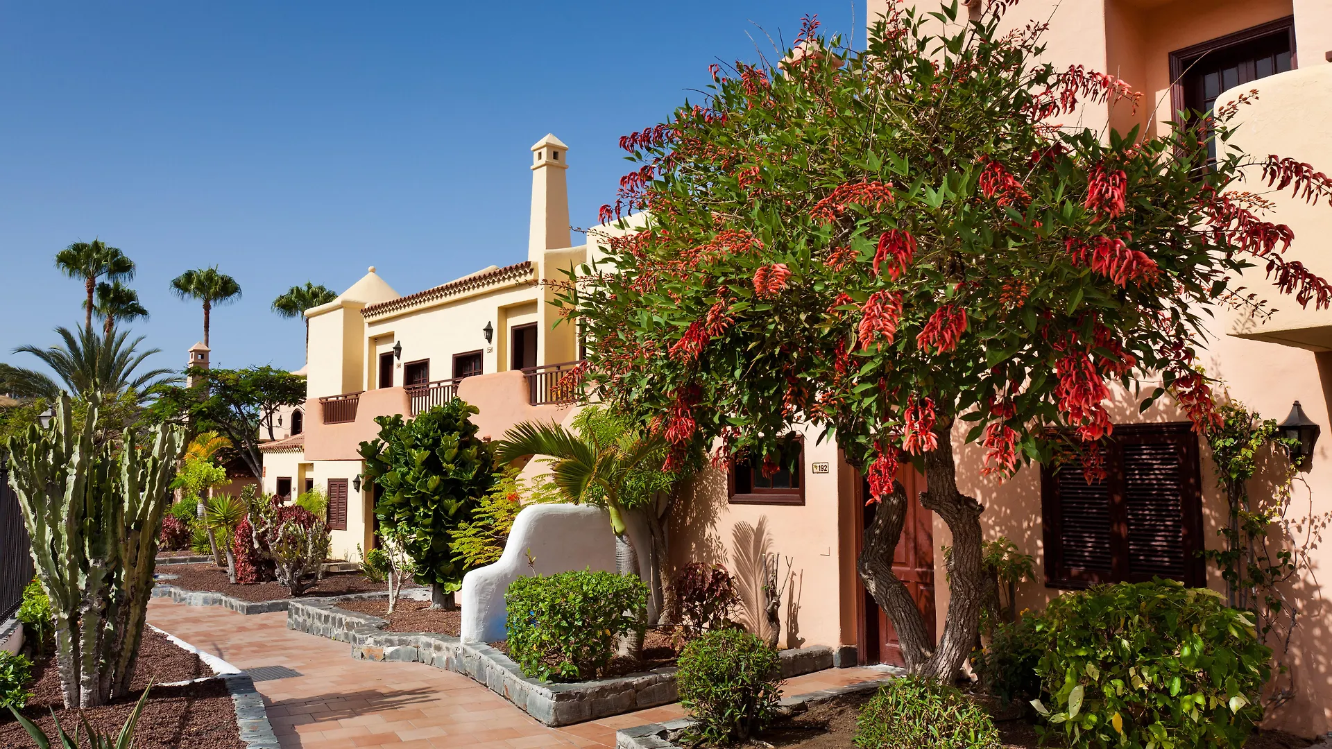 Tagoro Family & Fun Costa Adeje Hotel